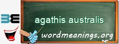 WordMeaning blackboard for agathis australis